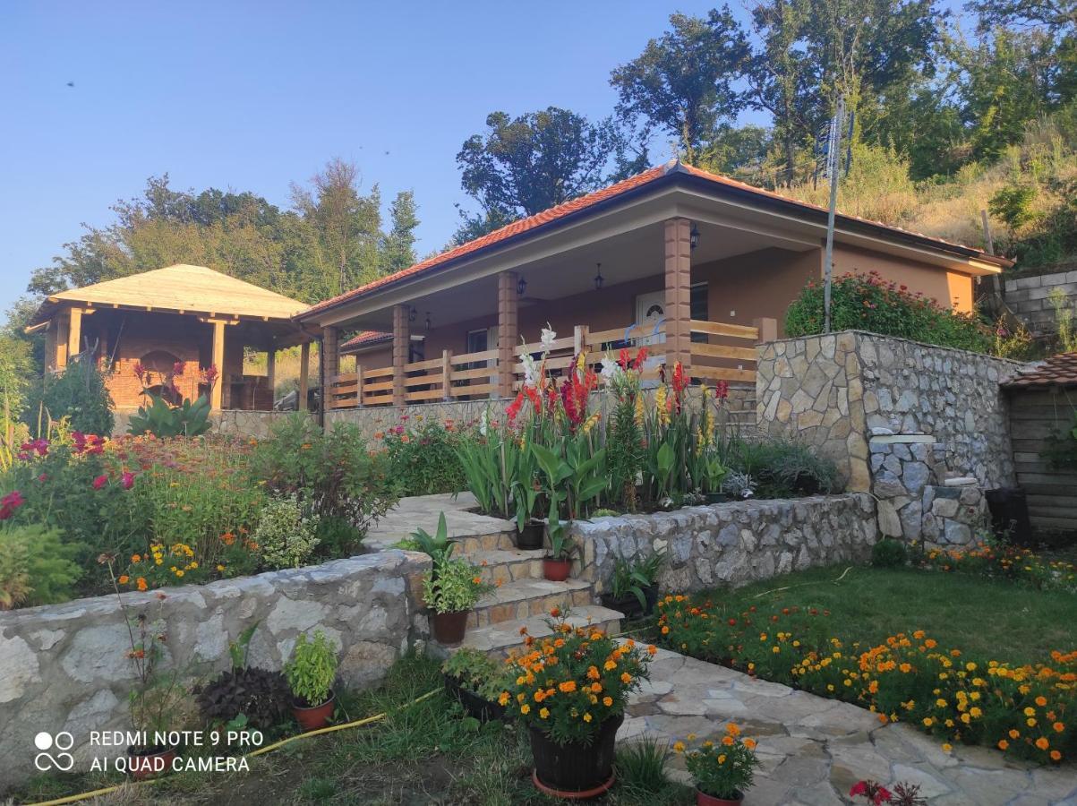 Vila Vera Borsko Jezero Zewnętrze zdjęcie